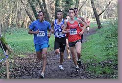 Begles 15.12.13 01 1081 * 679 x 453 * (165KB)